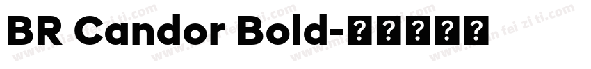 BR Candor Bold字体转换